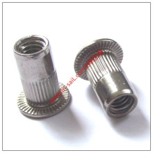 Stainless Steel Flat Head Rivet